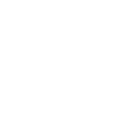 Revs Institute