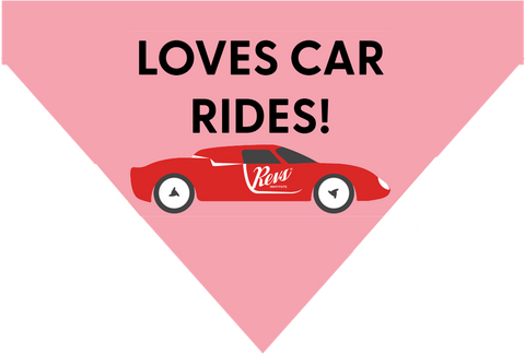 Revs Dog LOVES CAR RIDES Bandana - Pink