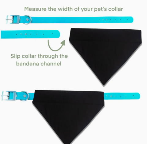 Revs Dog LOVES CAR RIDES Bandana - Black